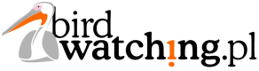 BirdWatching.pl - logo